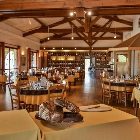 Logis Hotel Restaurant Solenca Nogaro Exterior foto