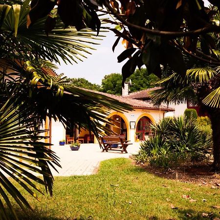 Logis Hotel Restaurant Solenca Nogaro Exterior foto